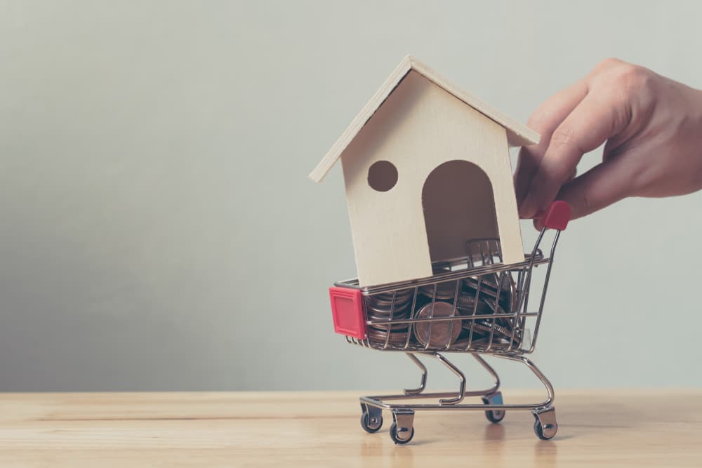4 Things to Look Out for While Spring House Shopping
