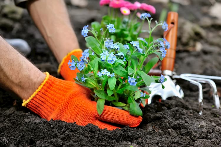 4 Spring Cleaning Tips to Spruce Up Your Yard and Home