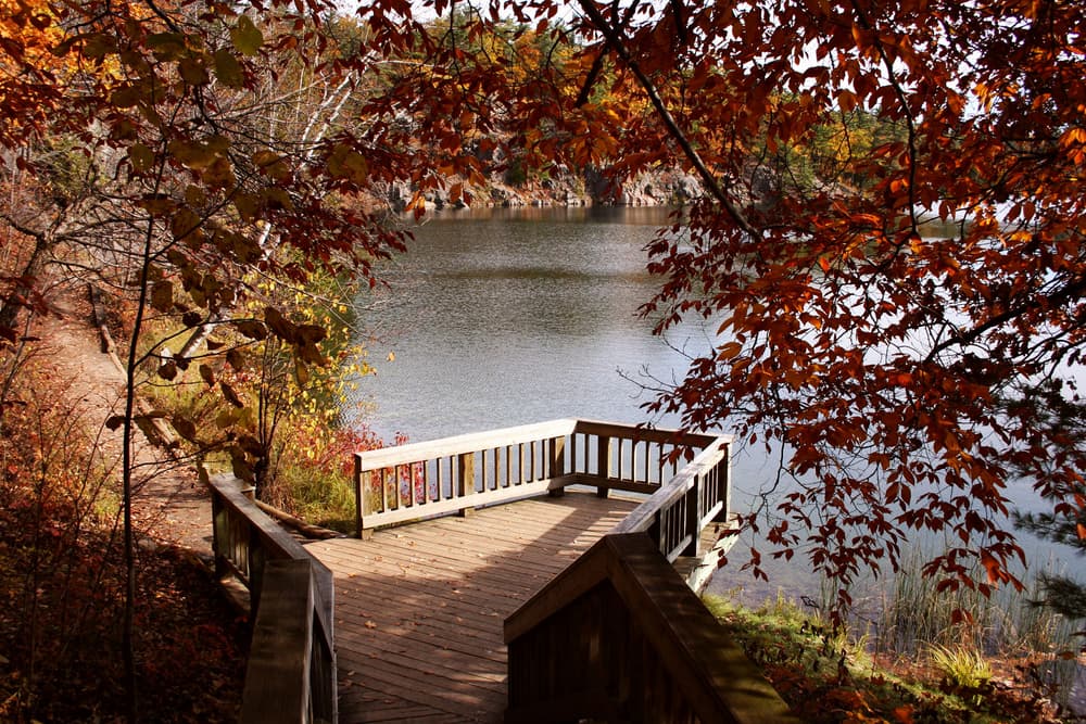 4 Scenic Ottawa Trail Paths You Need to Explore This Fall