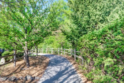 path