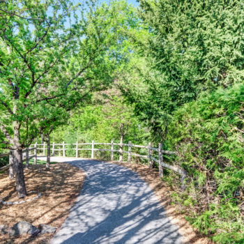 path